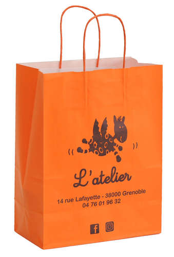 Sac papier kraft + logo