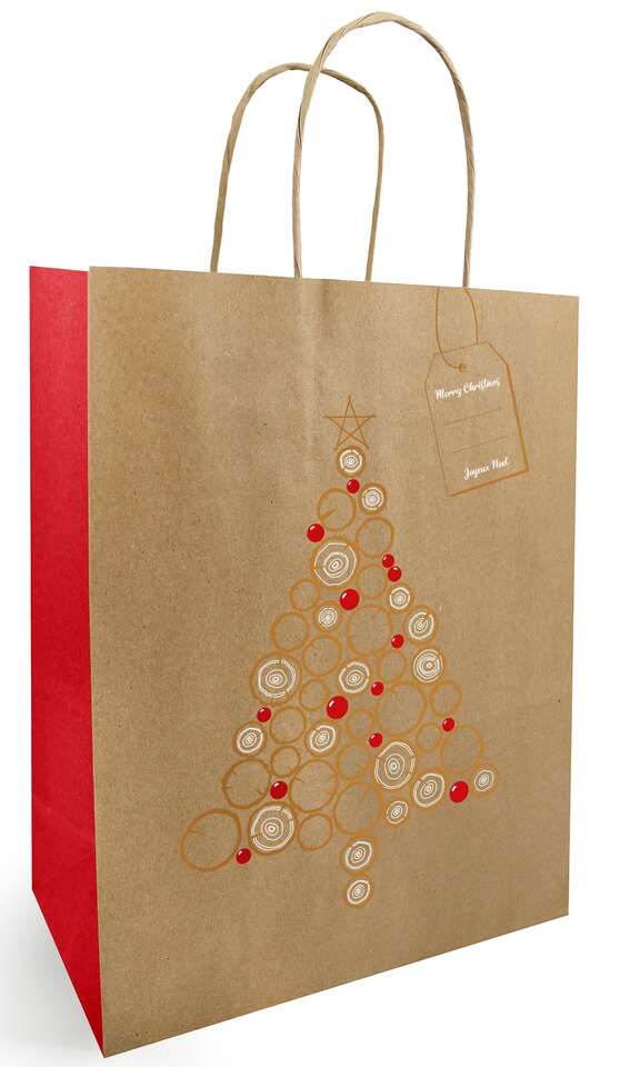 Achat sac plastique Noël 30 x 7 x 50 cm