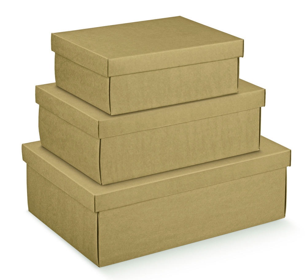 Propac Z-BOYN50 Lot de 20 boîtes en carton avec poignée deux vagues couleur Havane 50 x 35 x 30 cm 
