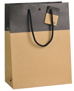 Image du produit Sac Bicolore Chic BLACK