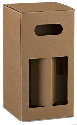 Image du produit Cube 4 bouteilles de bière