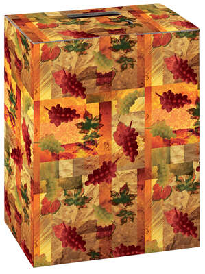 Image du produit Coffret carton 6 bouteilles Vignes