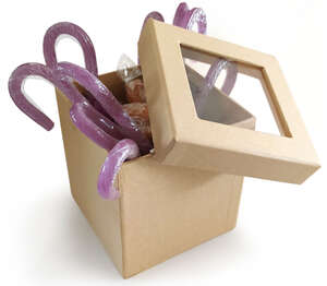 Image du produit Boite Pandore - Fenêtre couvercle