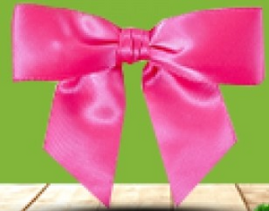 Image du produit Ruban Noeud Satin Blanc 