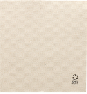 Image du produit Serviettes recyclées double point 
