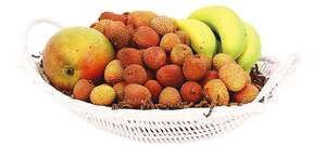 Image du produit Fruitière Polypropylène 