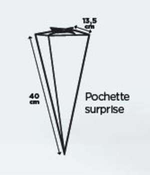 Image du produit Pochette surprise cône