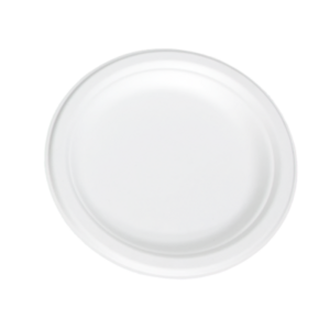 Image produit 50 Assiettes Bagasse