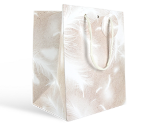 Image du produit Sac 