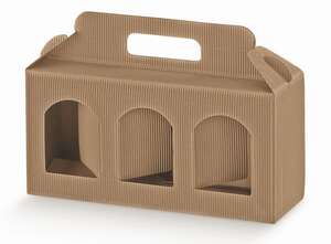 Image du produit Carton 3 pots hauteur 12cm