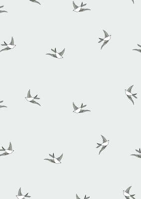 Image du produit Rouleaux Polypro 