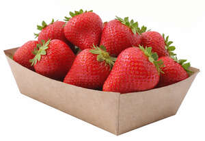 Image du produit 500 Barquettes carton