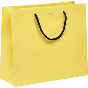 Image du produit Sac papier poignées papier noir
