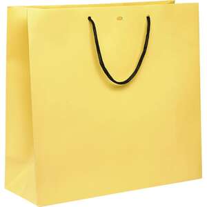 Image du produit Sac papier poignées papier noir