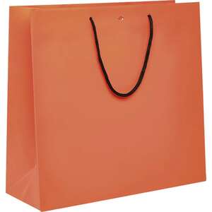 Image du produit Sac papier poignées papier noir