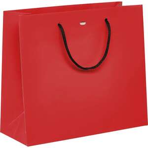 Image du produit Sac papier poignées papier noir