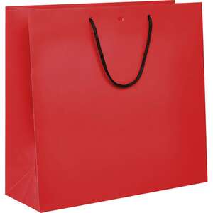 Image du produit Sac papier poignées papier noir