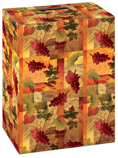 Image du produit Coffret carton 6 bouteilles Vignes