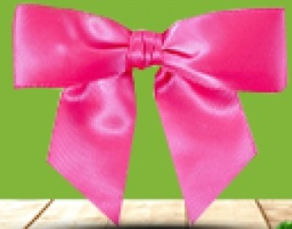 Image du produit Ruban Noeud Satin Blanc 