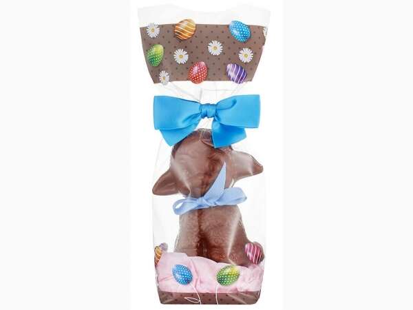 Image du produit 100 Sachets 