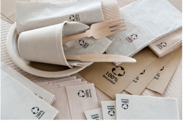 Image du produit Serviettes recyclées double point 