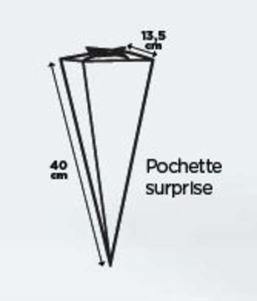 Image du produit Pochette surprise cône