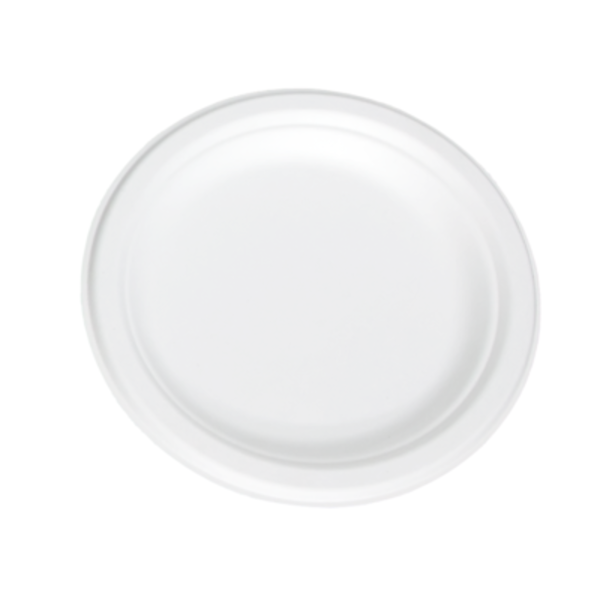 Image du produit 50 Assiettes Bagasse