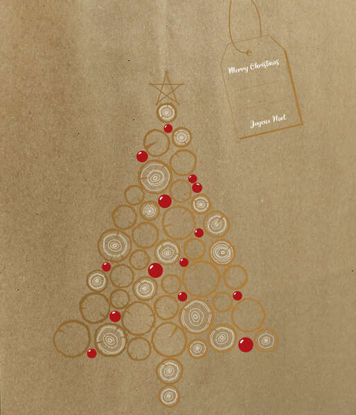 Image du produit Sac kraft 