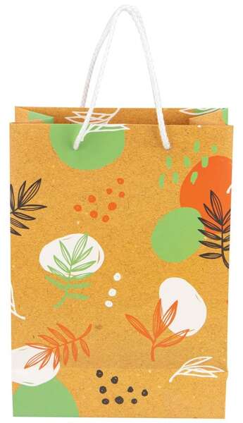 Image du produit Sac Carton Rectangulaire 