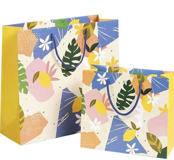 Image du produit Sac Papier Sans Fênetre Collection 