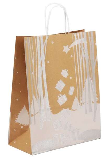 Image du produit Sac kraft Collection 