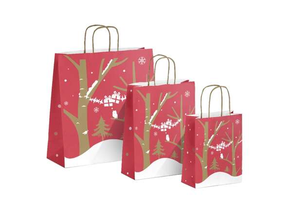 Image du produit Sac kraft 