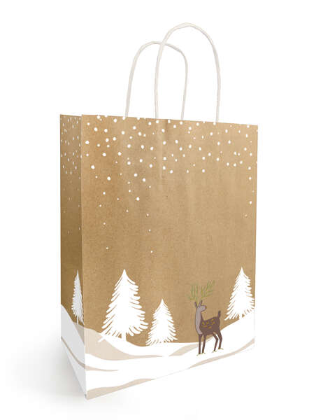 Image du produit Sac kraft 