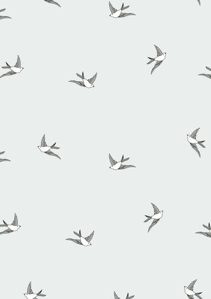 Image du produit Rouleaux Polypro 