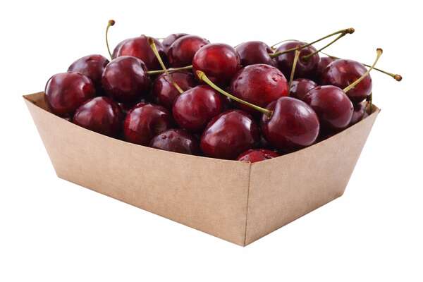 Image du produit 500 Barquettes carton