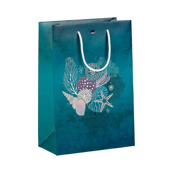 Image du produit Sac papier ABIMES IRISES