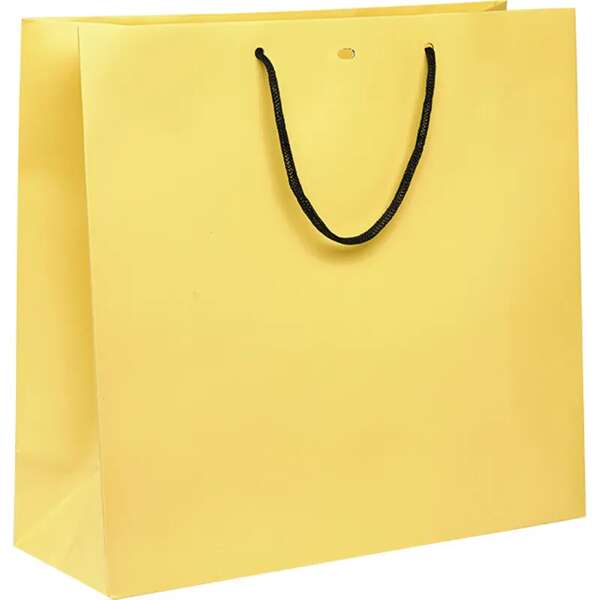 Image du produit Sac papier poignées papier noir