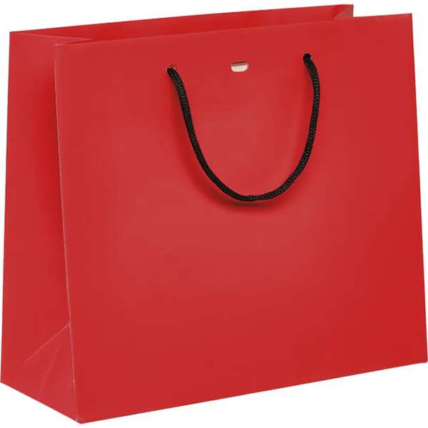 Image du produit Sac papier poignées papier noir