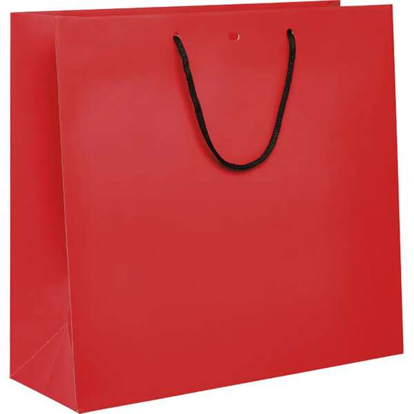 Image du produit Sac papier poignées papier noir