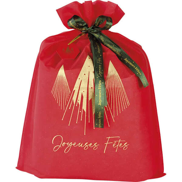 Image du produit Sac Polypropylène Intissé Rouge/OR Noel