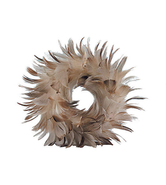 Image du produit Couronne plume