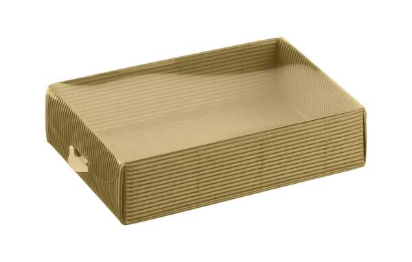 Image du produit Corbeille + Couvercle transparent amovible